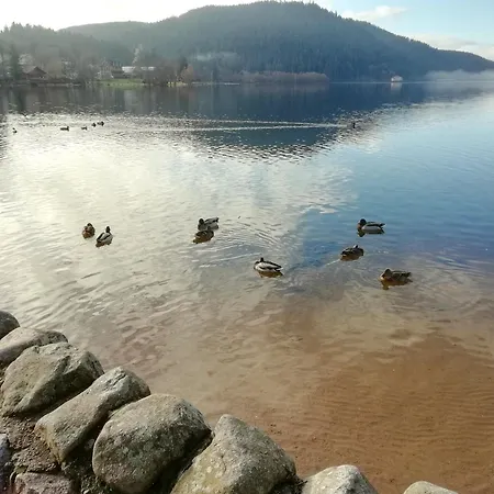 L'emeraude, 3 Etoiles דירה סנט-מארי-או-מין
