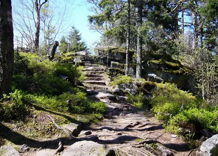 L'emeraude, 3 Etoiles סנט-מארי-או-מין