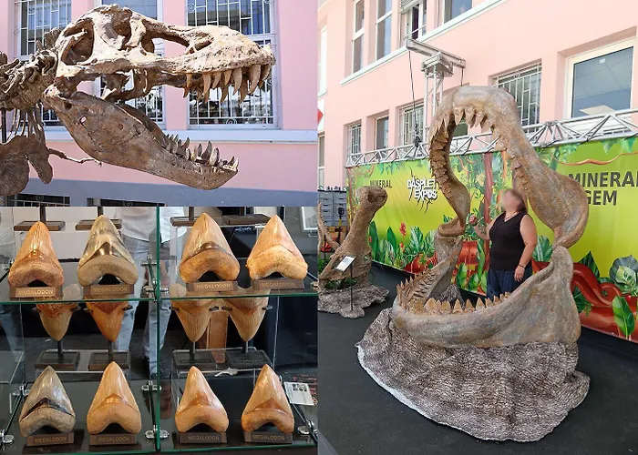 L'emeraude, 3 Etoiles דירה