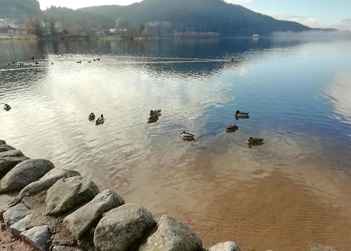 L'emeraude, 3 Etoiles דירה סנט-מארי-או-מין